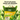 12 in 1 Organic Potting Soil Mix 20 KG