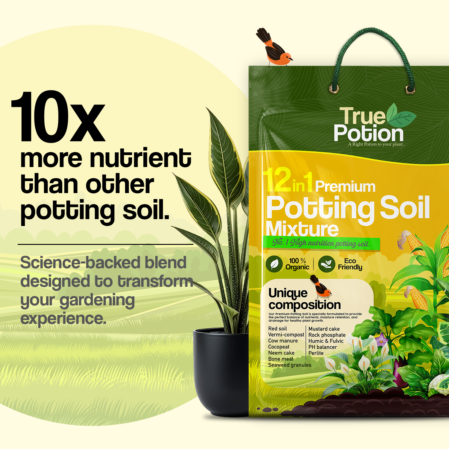12 in 1 Organic Potting Soil Mix 20 KG