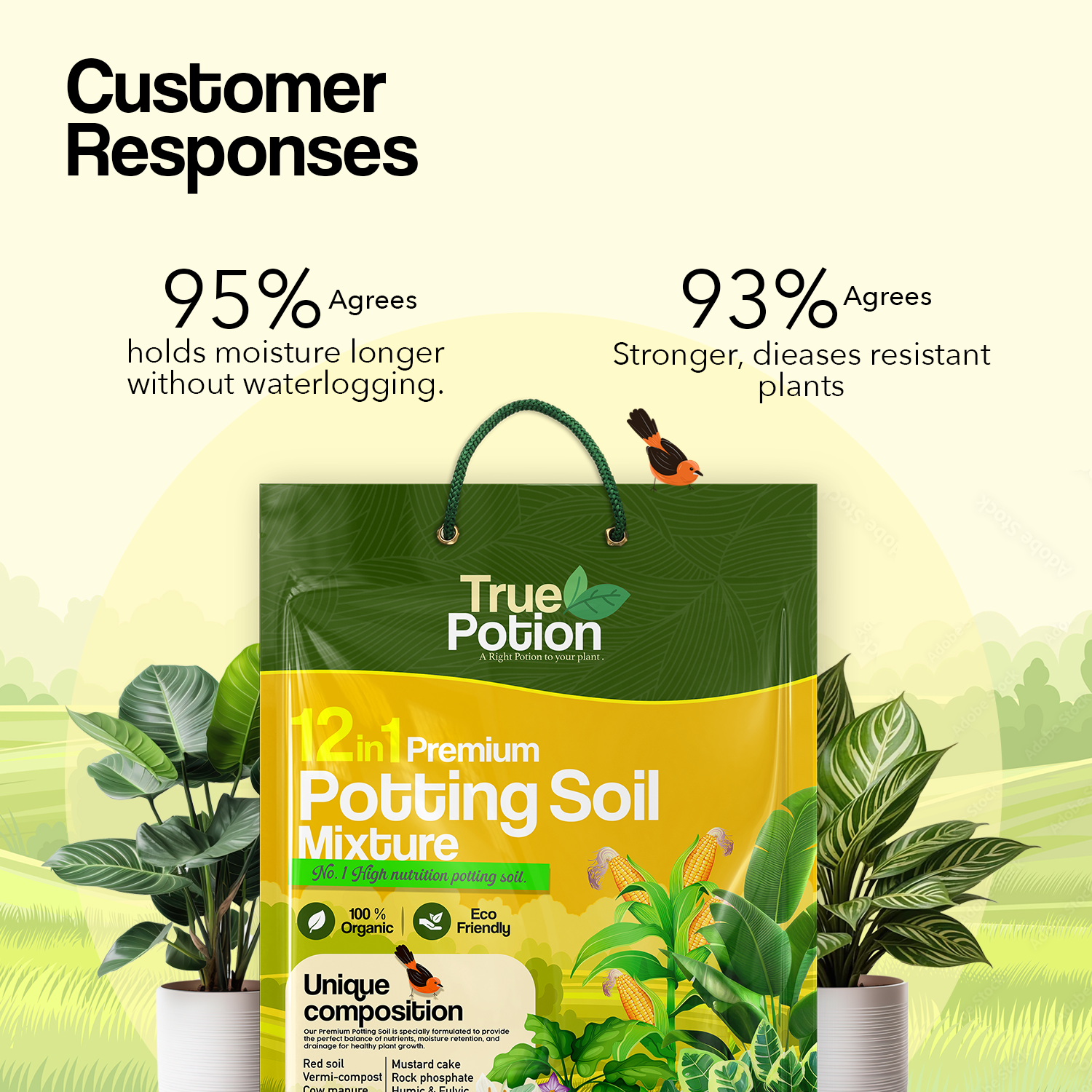 12 in 1 Organic Potting Soil Mix 20 KG