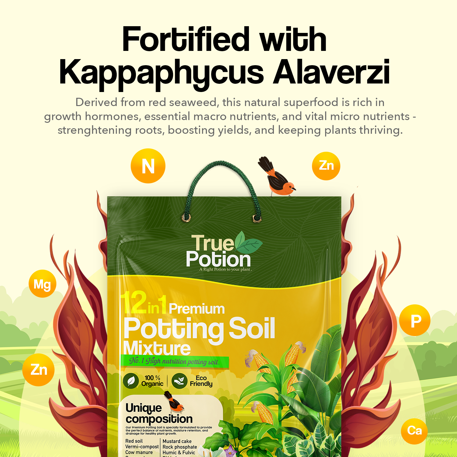 12 in 1 Organic Potting Soil Mix 20 KG