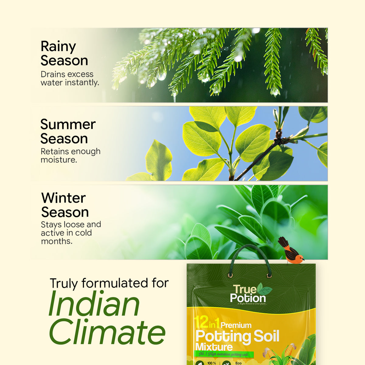 Marketing graphic: 'Truly formulated for Indian Climate' showing how the potting soil performs in rainy, summer, and winter seasons