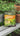 true potion small pack video showing how it looks