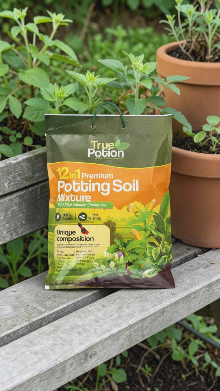 true potion small pack video showing how it looks