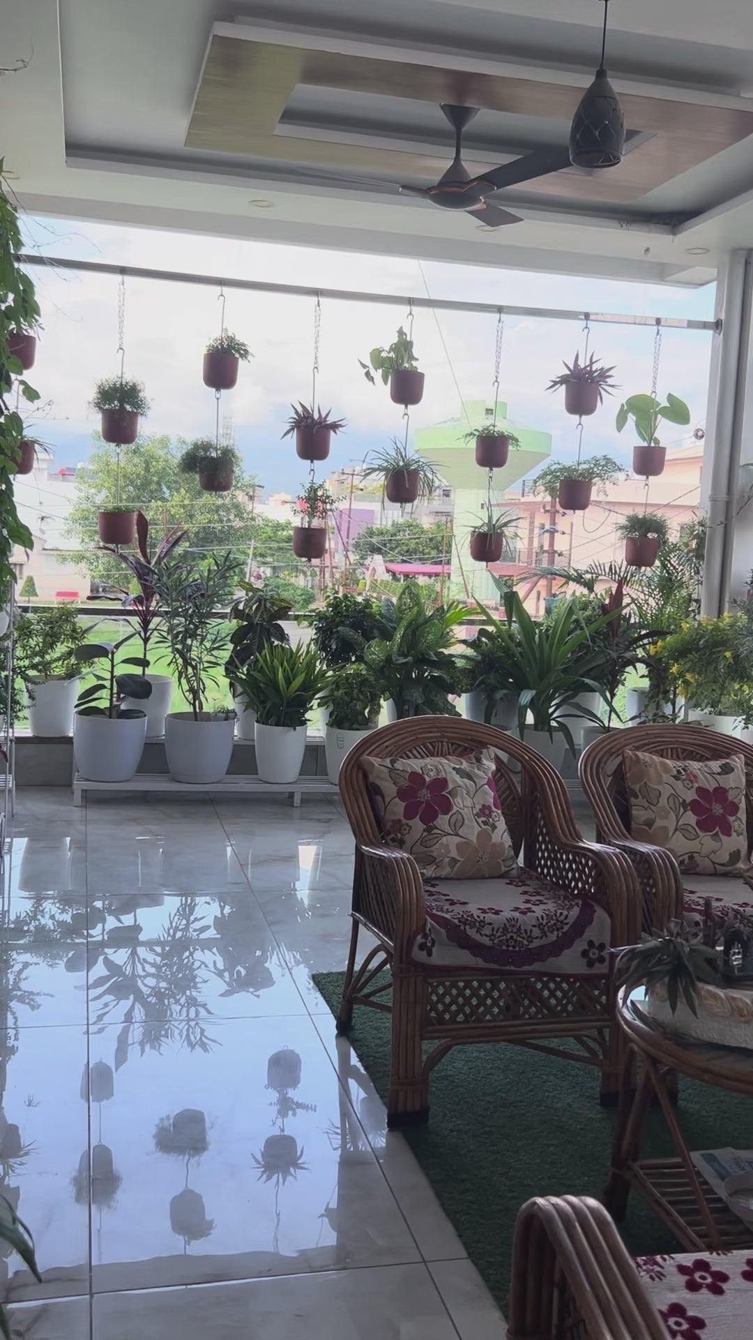 Real image video of True Potion potting soil