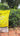 real image of true potion potting soil
