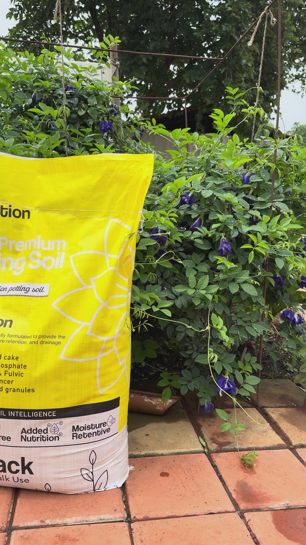 real image of true potion potting soil
